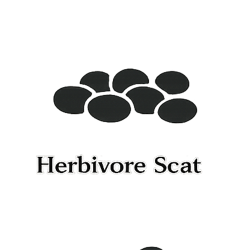 Herbivore scat glyph showing clustered pellets in a uniform repeating pattern representing grazing mammals