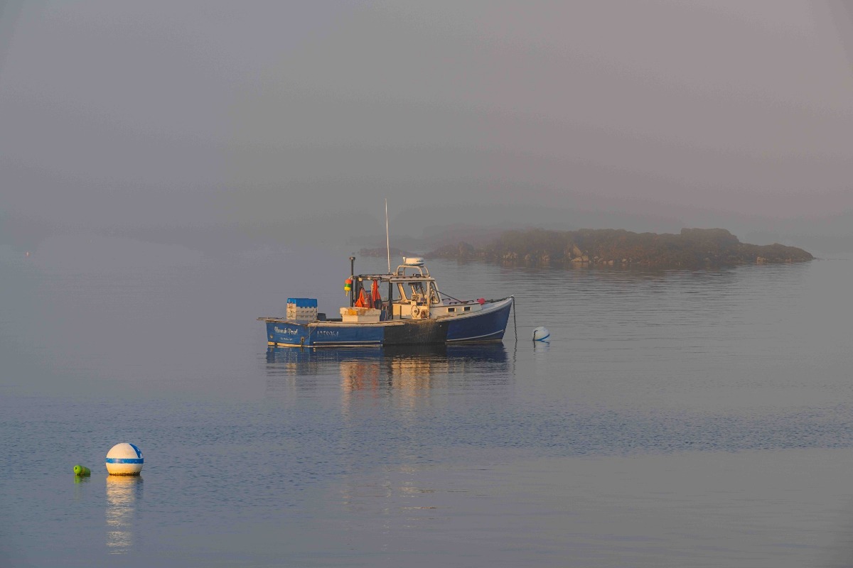 Coastal Landscapes