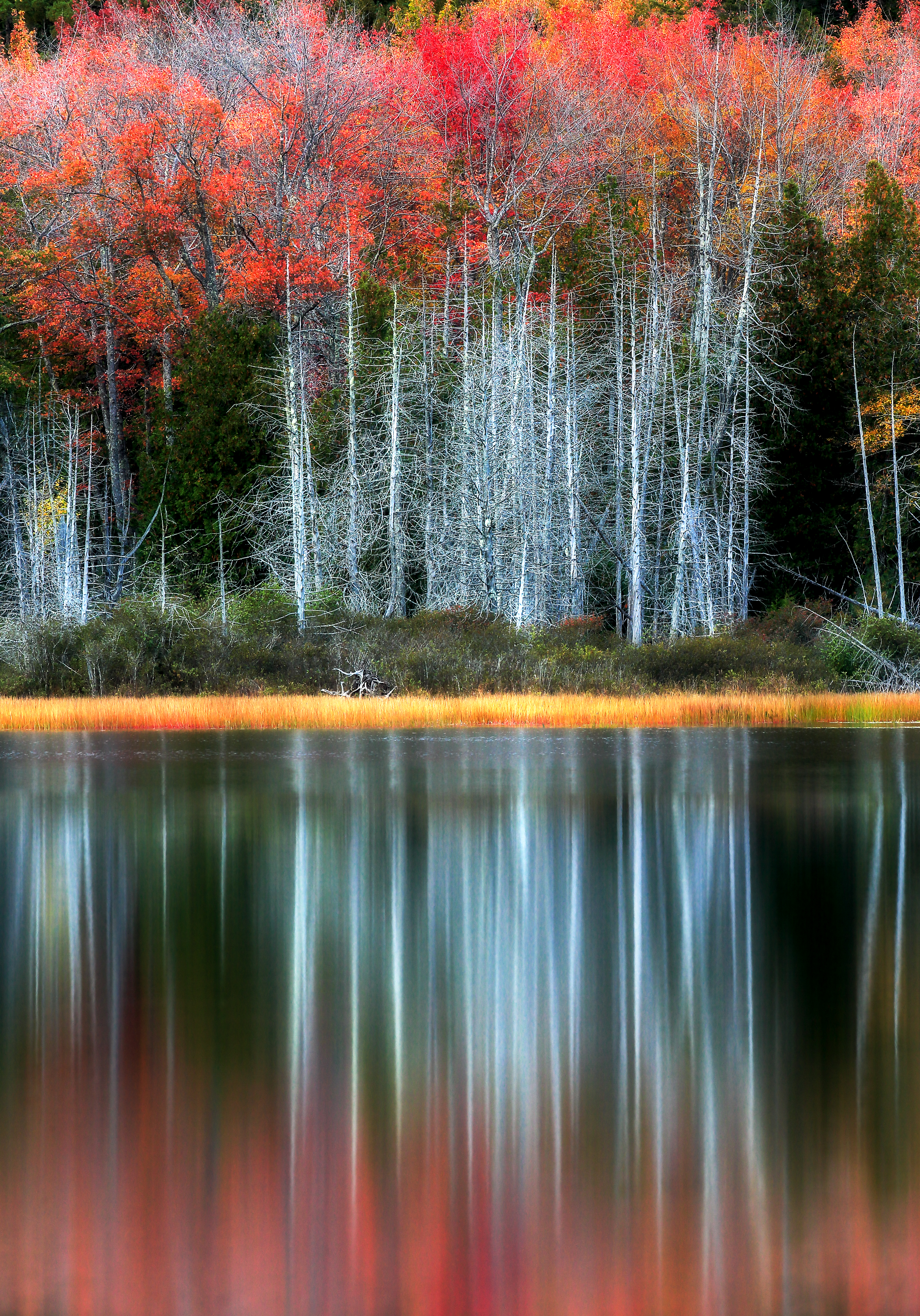 Fine-art nature print buyer’s guide hero — autumn reflections at Acadia National Park