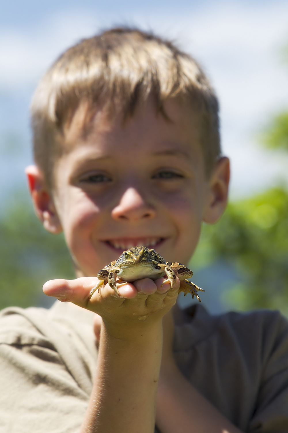 Young boy gently holding a frog — direct childhood connection to wildlife and natural systems