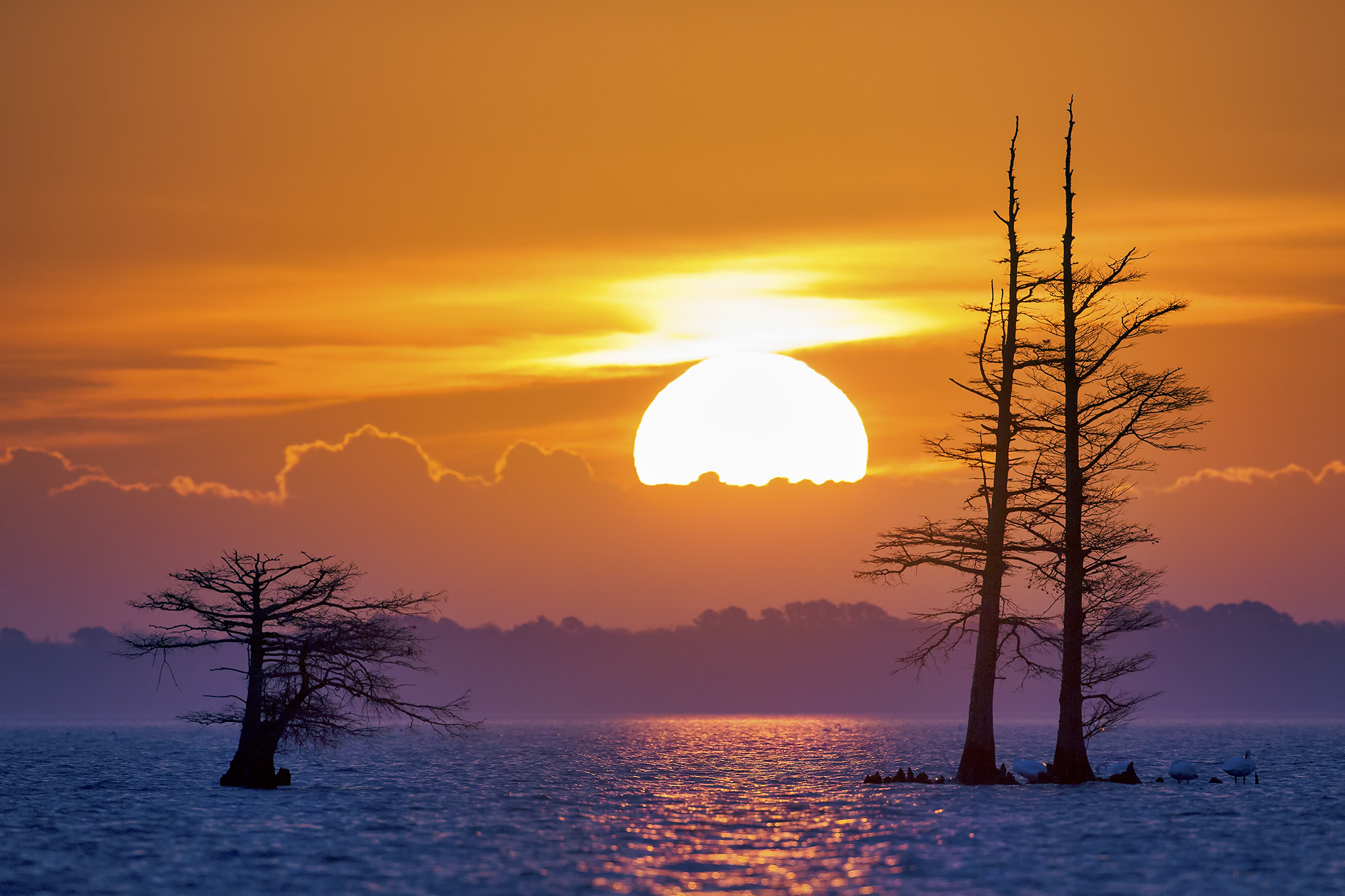 Sunrise on Lake Mattamuskeet North Carolina - Photon Return Curve