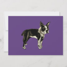 Violet Purple