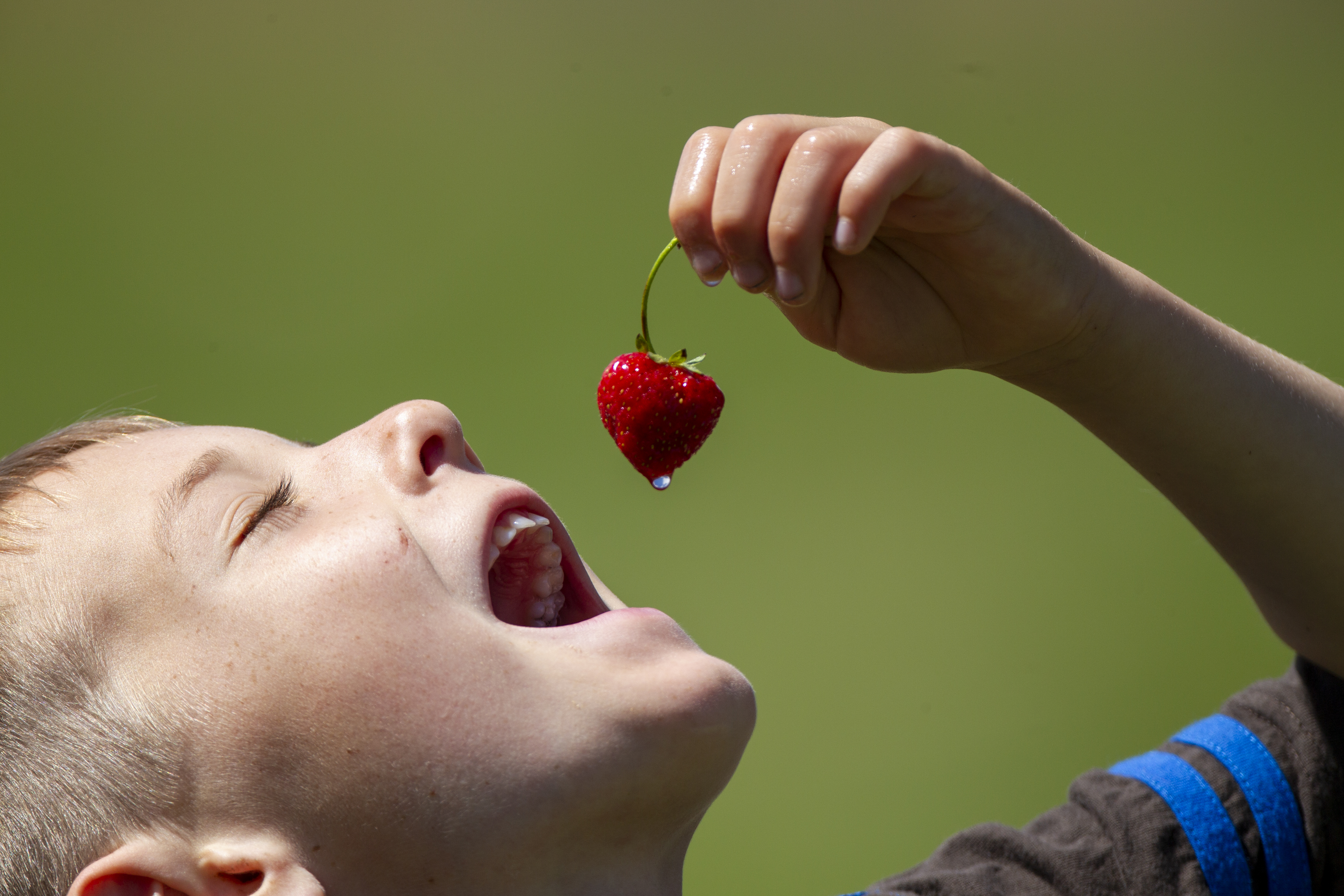 Boy Eating a Strawberry – Nature’s algorithm begins with nourishment and joy