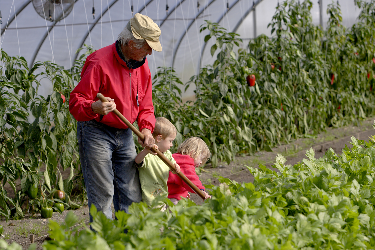 Eliot Coleman at Four Season Farm representing regenerative farming practices and long-term soil stewardship