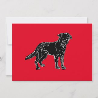 Red Background