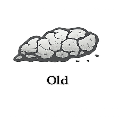 Old scat glyph showing lighter, cracked, broken texture indicating weathering and older field sign