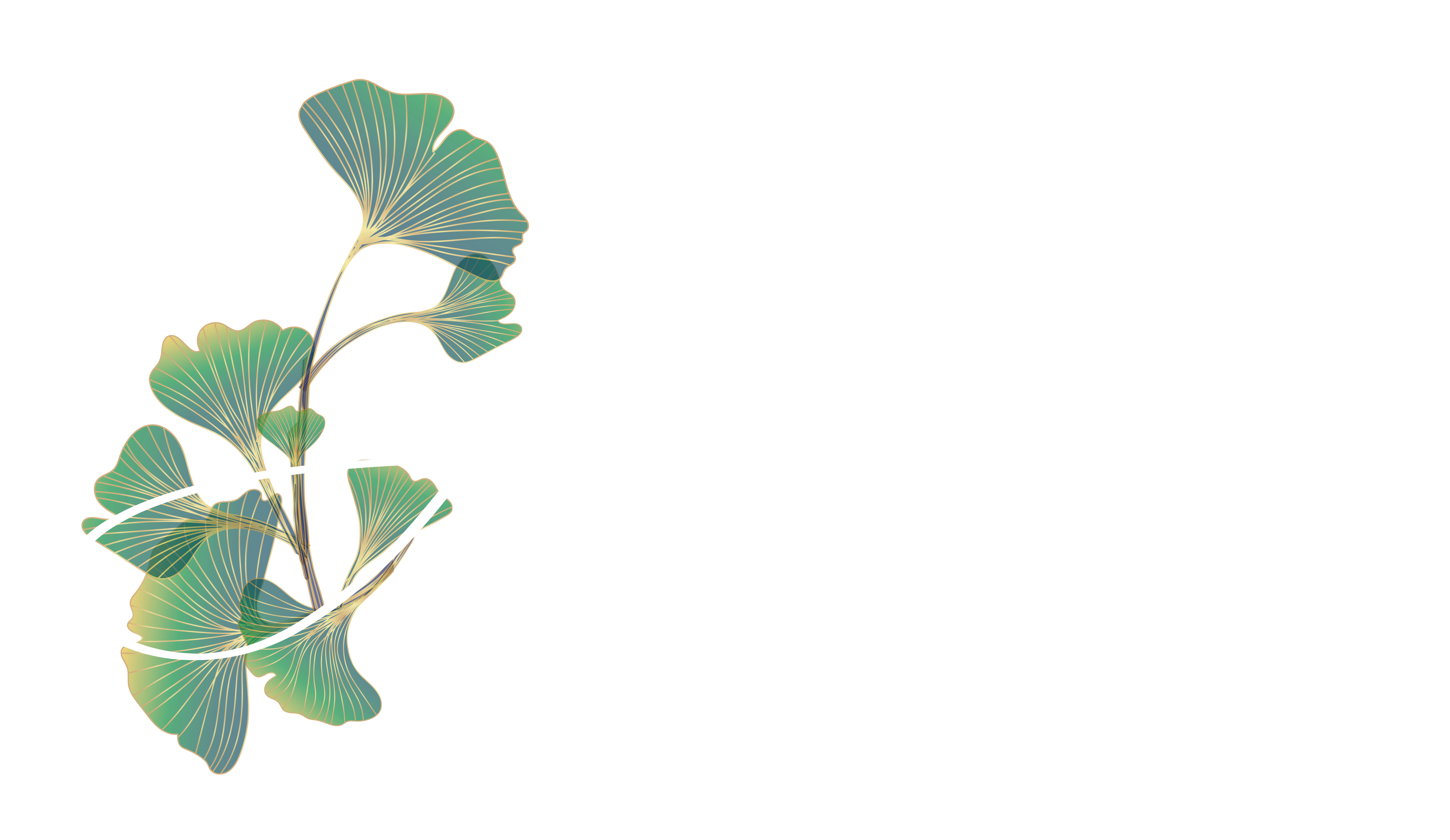 Aimee Tiede Art