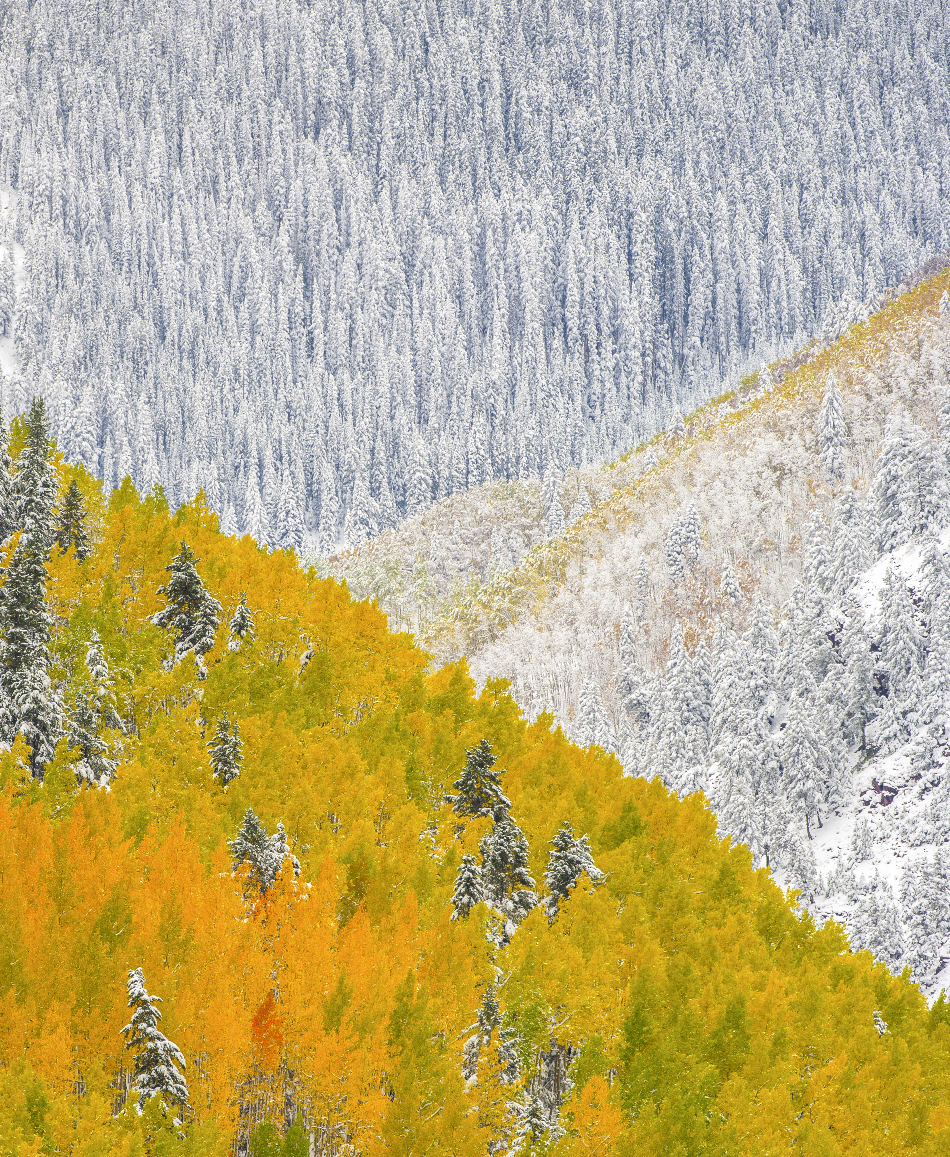 Colorado Autumn - A Landscape of Awe and Equilibrium | Fine Art by Robbie George