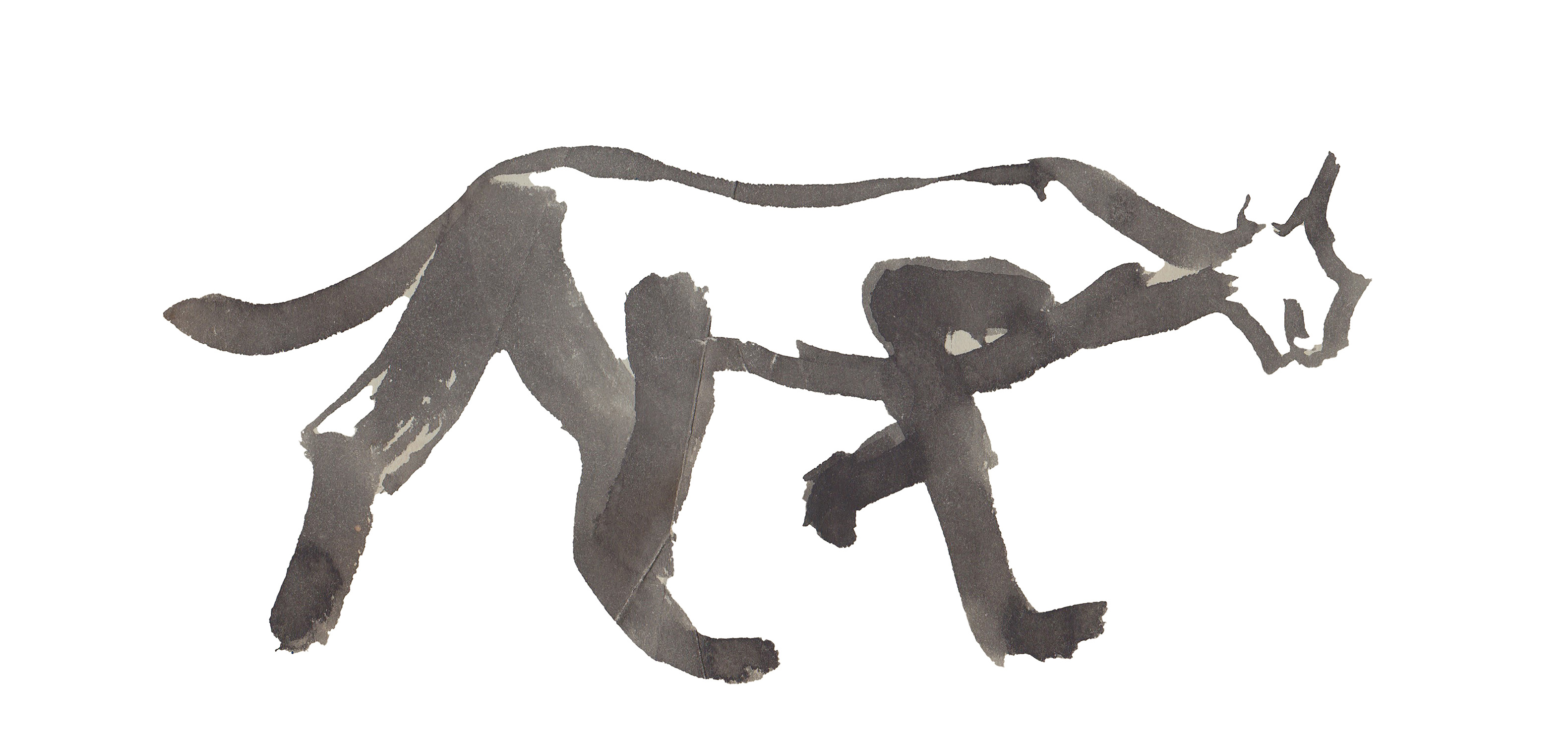 The Cat that Walked by itself with Great Determination! by Brenda Andersen