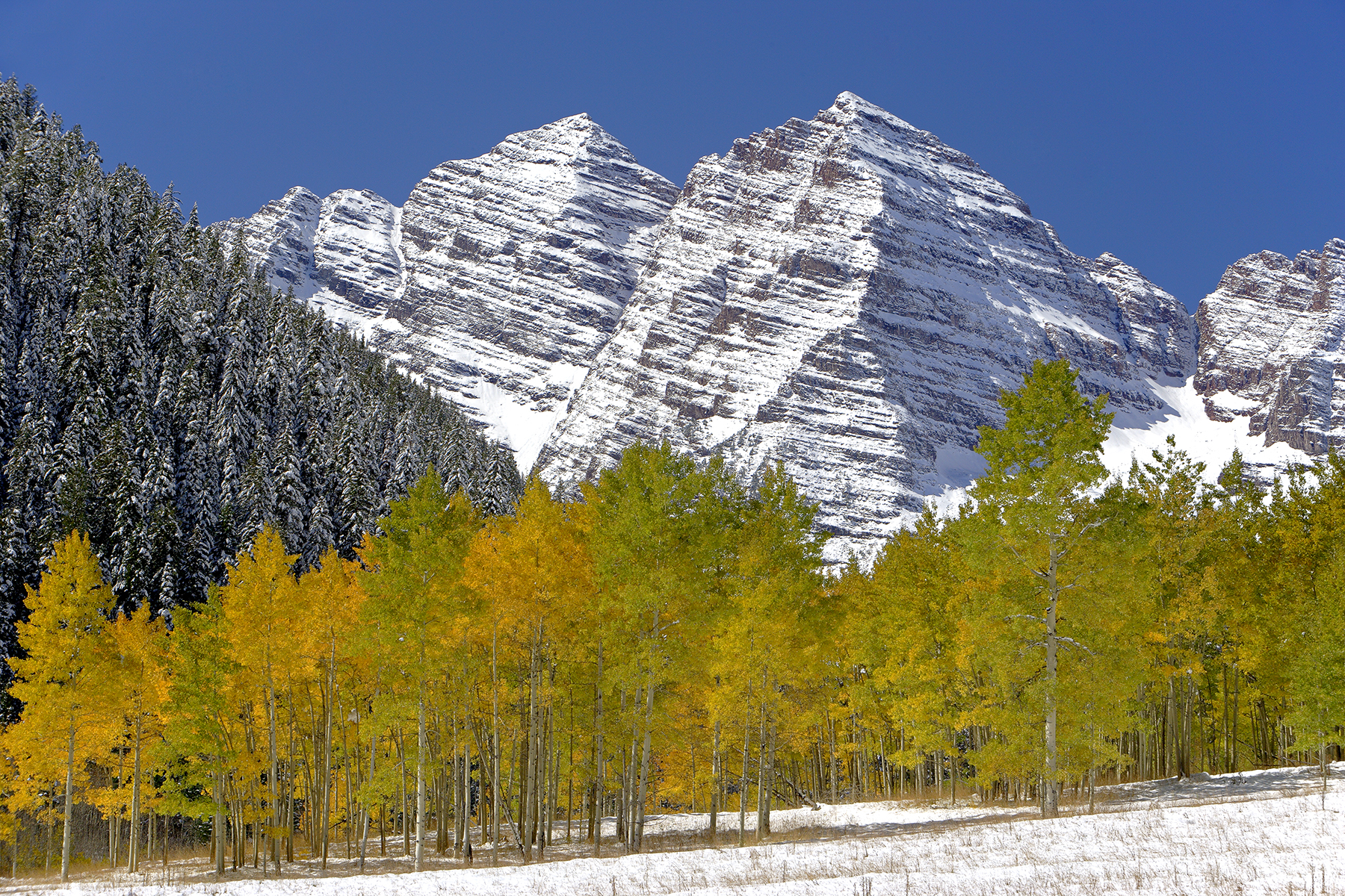 Maroon Bells in the Colorado Mountains – Autumn Aspen rhythms echoing across alpine valleys