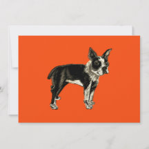 Persimmon Orange