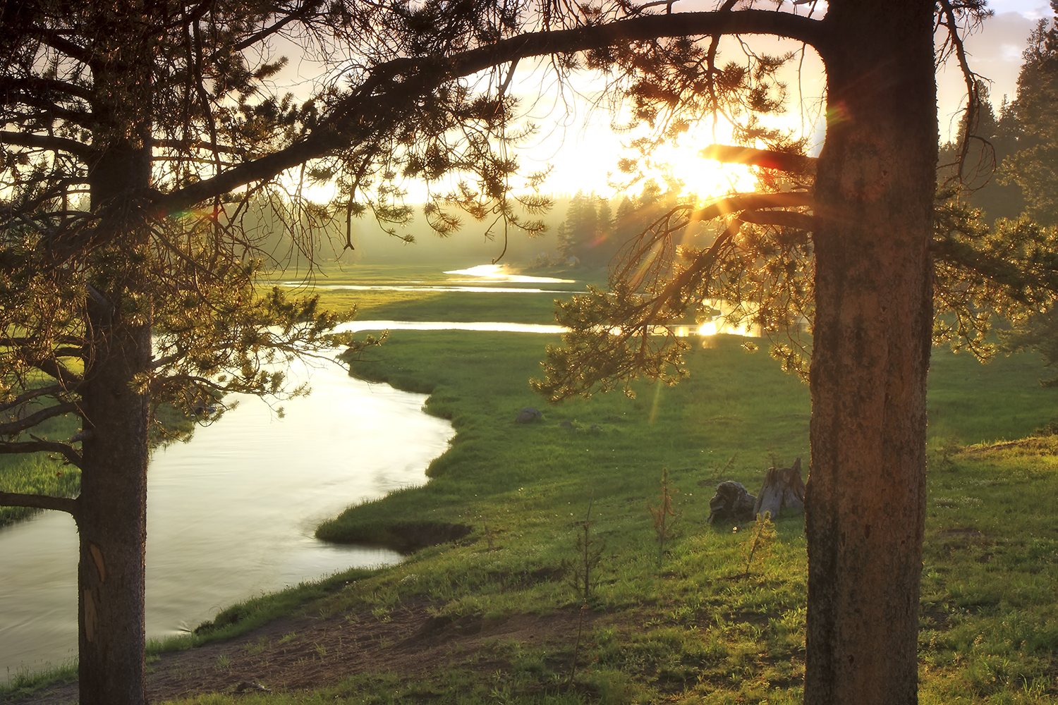 Beautiful Landscape Golden Ratio Nature Composition | Fine Art by Robbie George