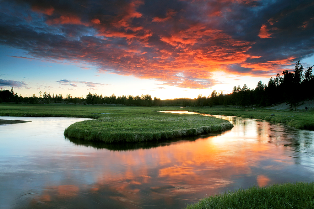 Gibbon River in Yellowstone at golden hour