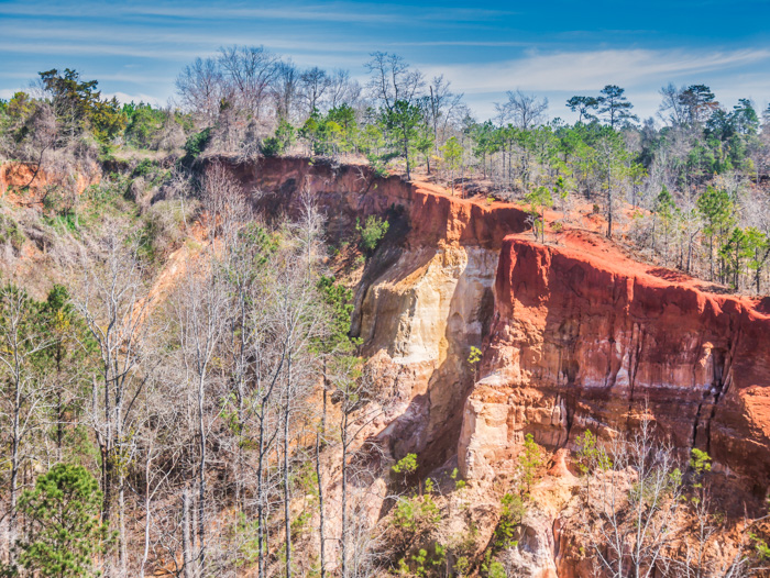 The rim of Providence Canyon in Georgia with a blue sky