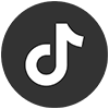 TikTok icon