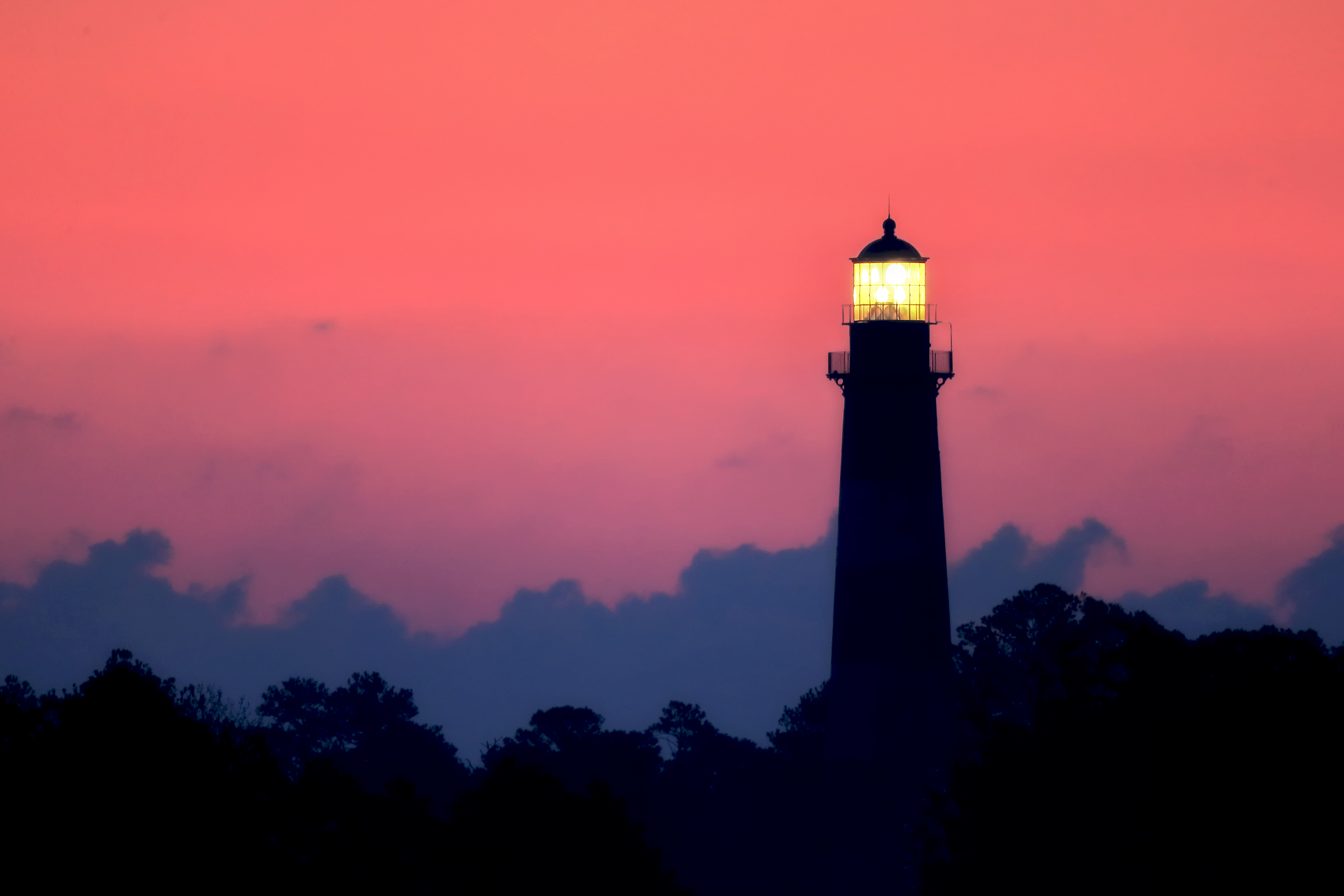 Chincoteague Lighthouse rising above coastal trees and refuge habitat on Virginia's Eastern Shore