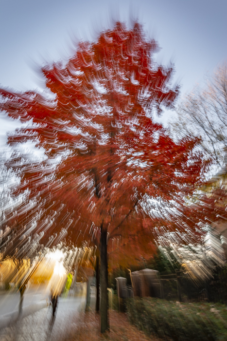 Dragging the shutter for a photo of fall foliage in Atlanta