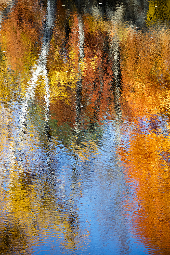 Colorful autumn reflection on rippled water — symbolizing water's memory-encoding structure