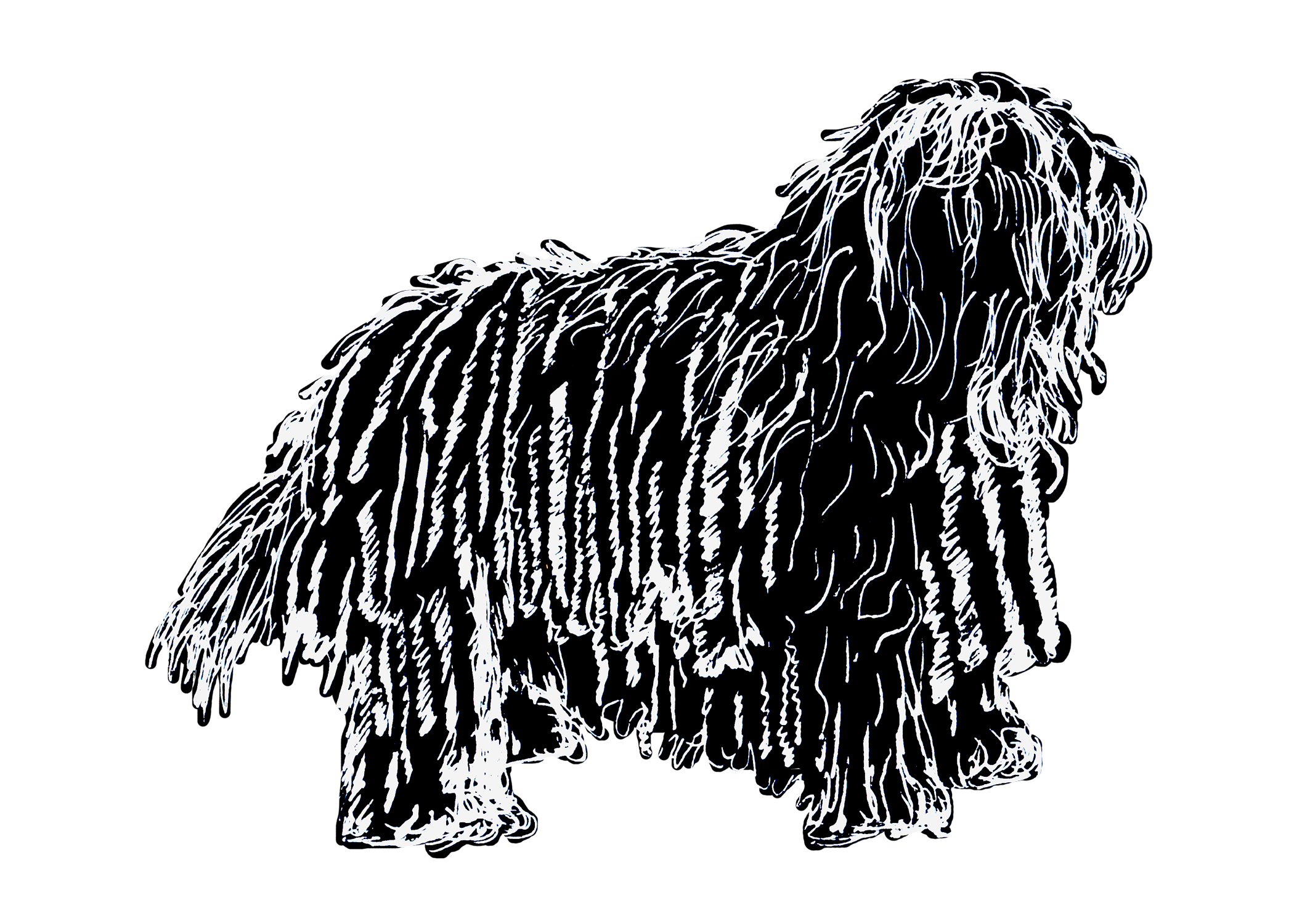 Bergamasco