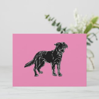 Pink Background