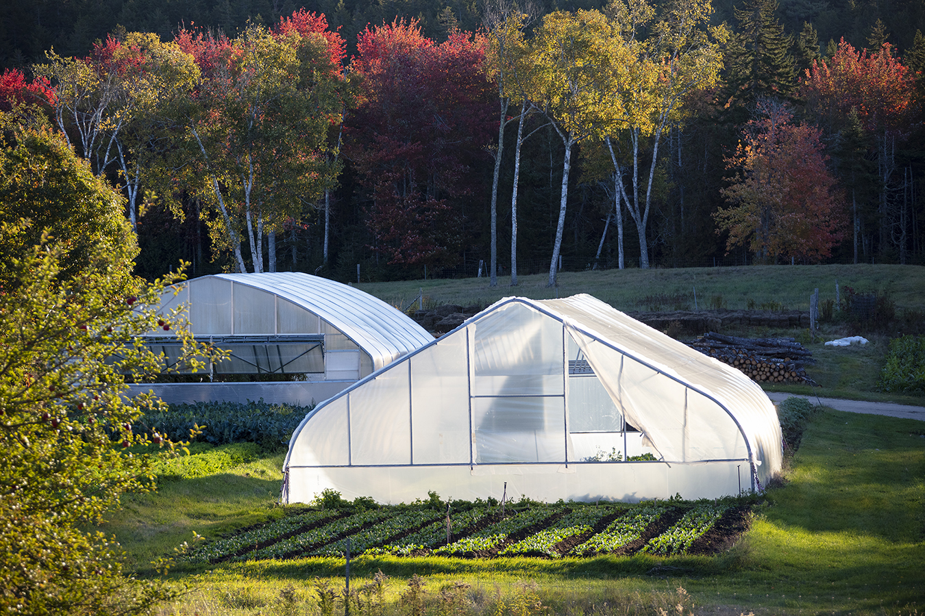 A greenhouse nestled in a vibrant autumn landscape, representing sustainable innovation and GaiaGPT’s interdisciplinary approach to regenerative agriculture.