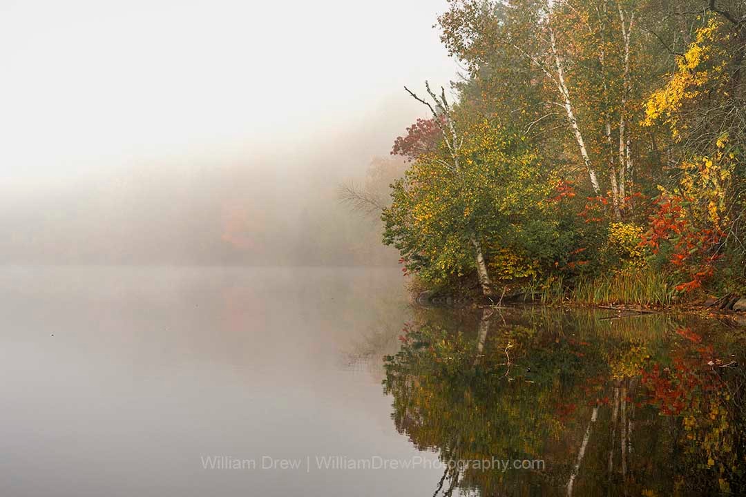 Whispers in the Fog | Jay Cooke Fall River Minnesota Photography Print