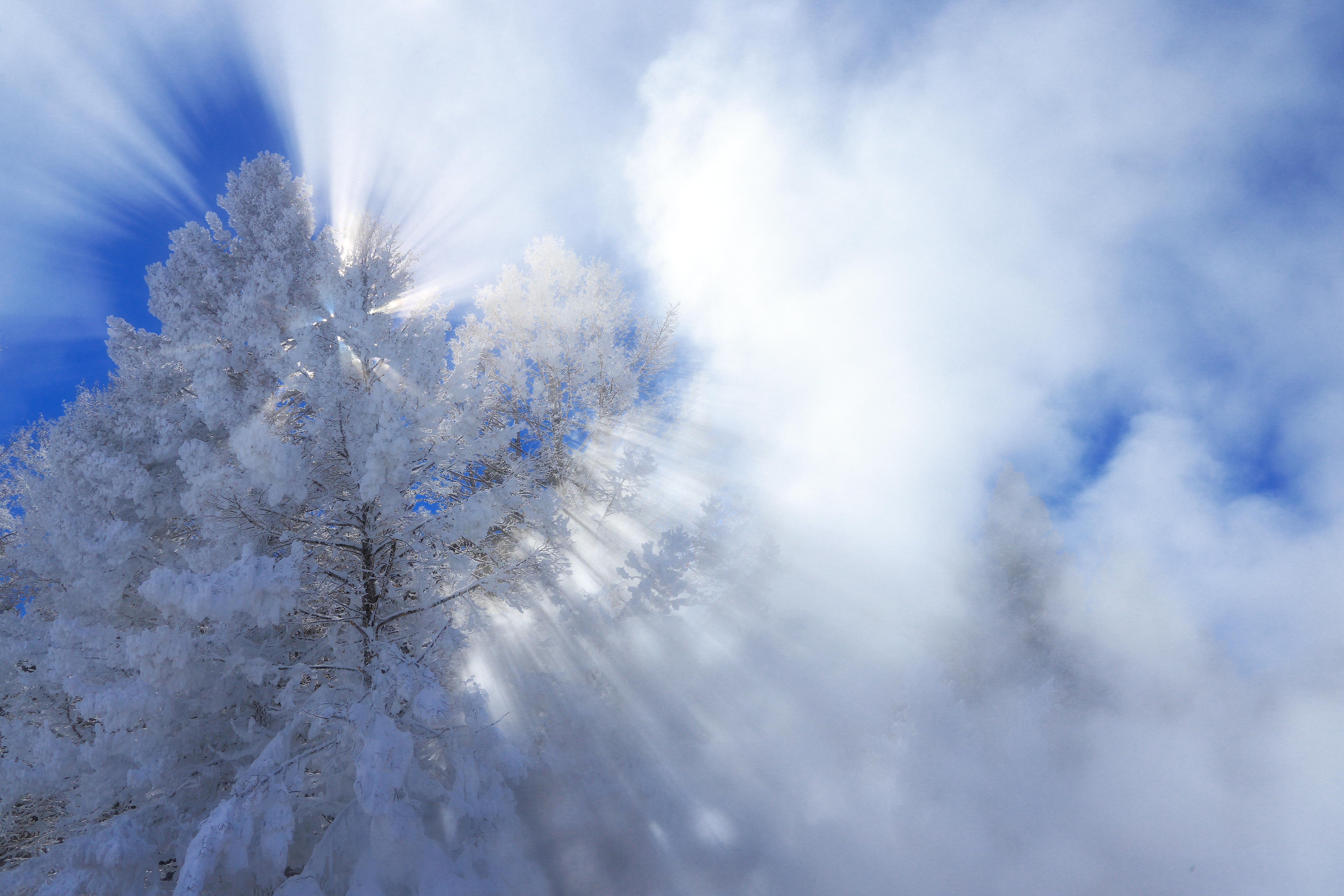Winter Scene - Water Reflecting Light's Return