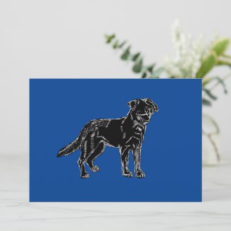 Blue Background