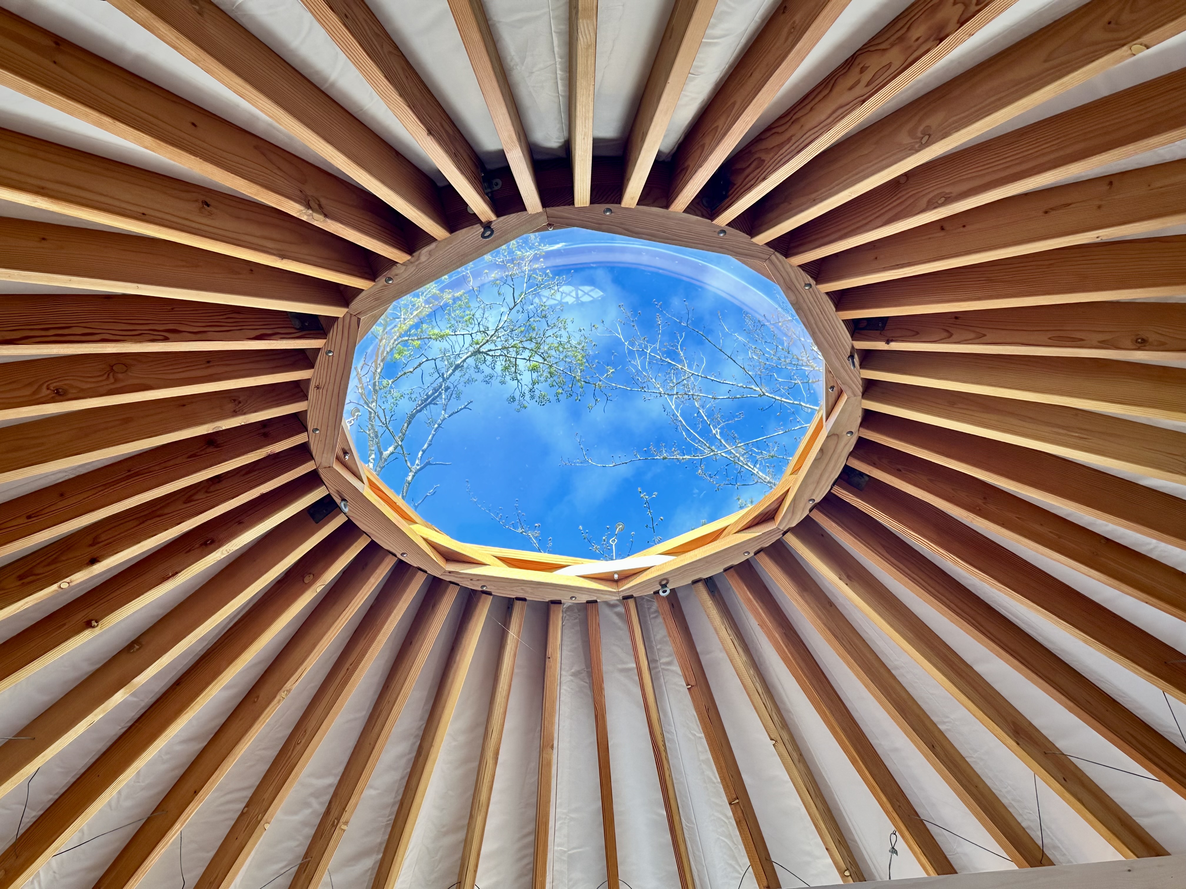 Inside the spiral-beamed yurt where the Matrix Engine theory was born – Acadia National Park