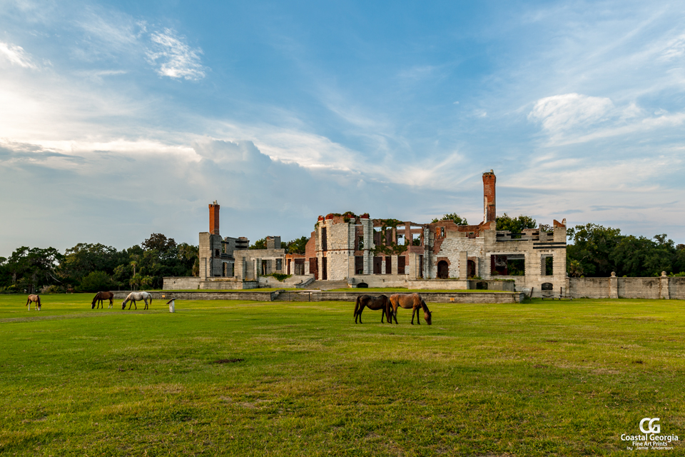 Dungeness, Cumberland Island, Georgia