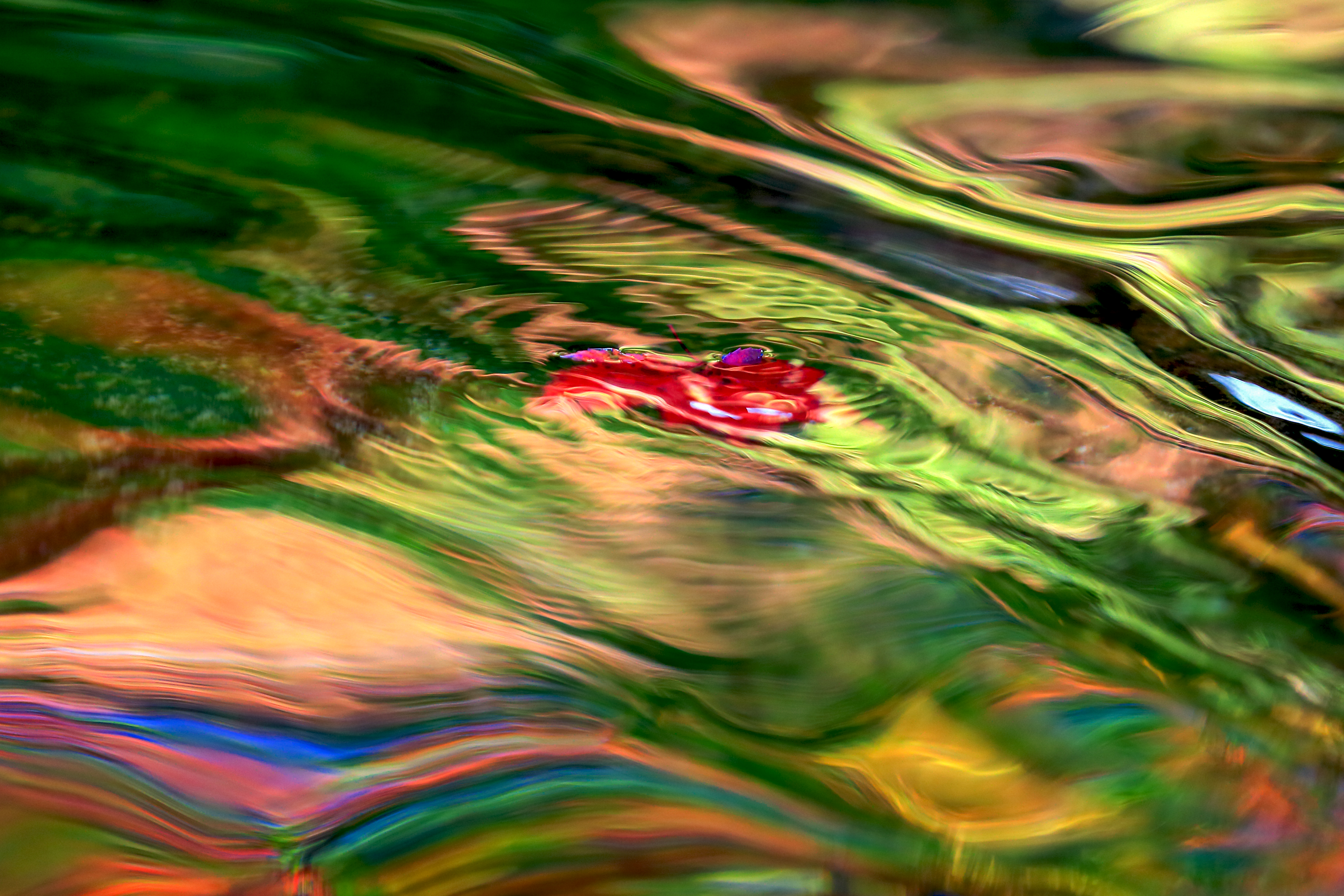Autumn Reflections in Water – Nature’s gentle clockwork mirrored in stillness