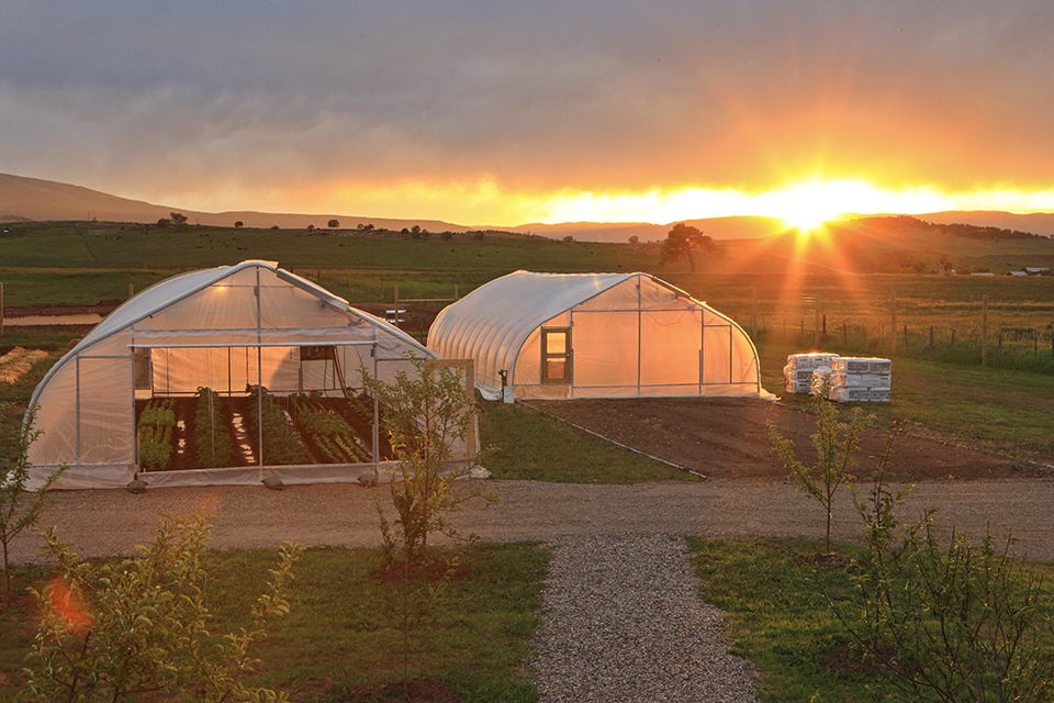 Divide Creek Farm bathed in warm Colorado light — the land where regenerative dreams took root