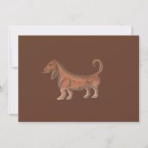 Cocoa
