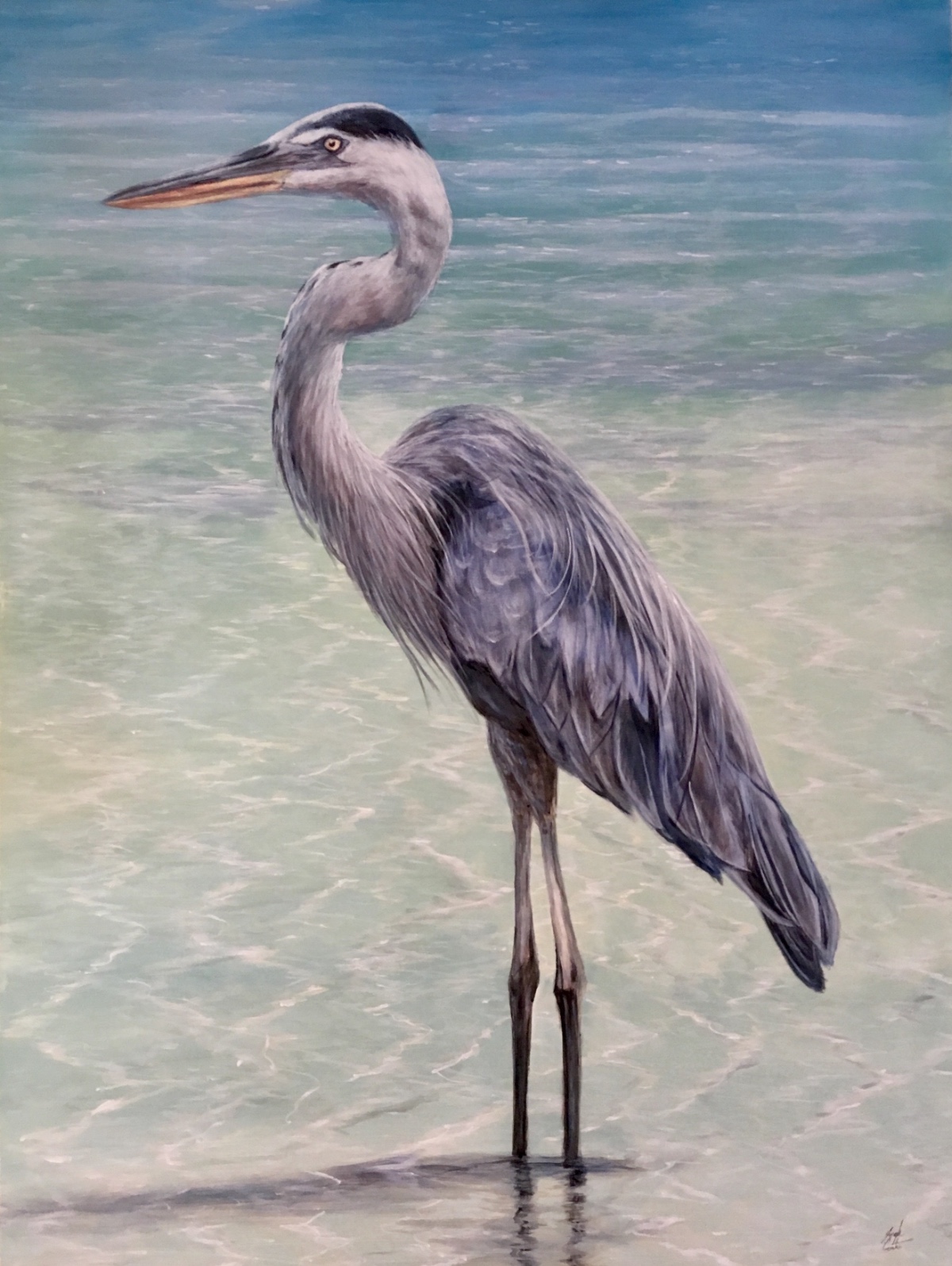 Wildlife