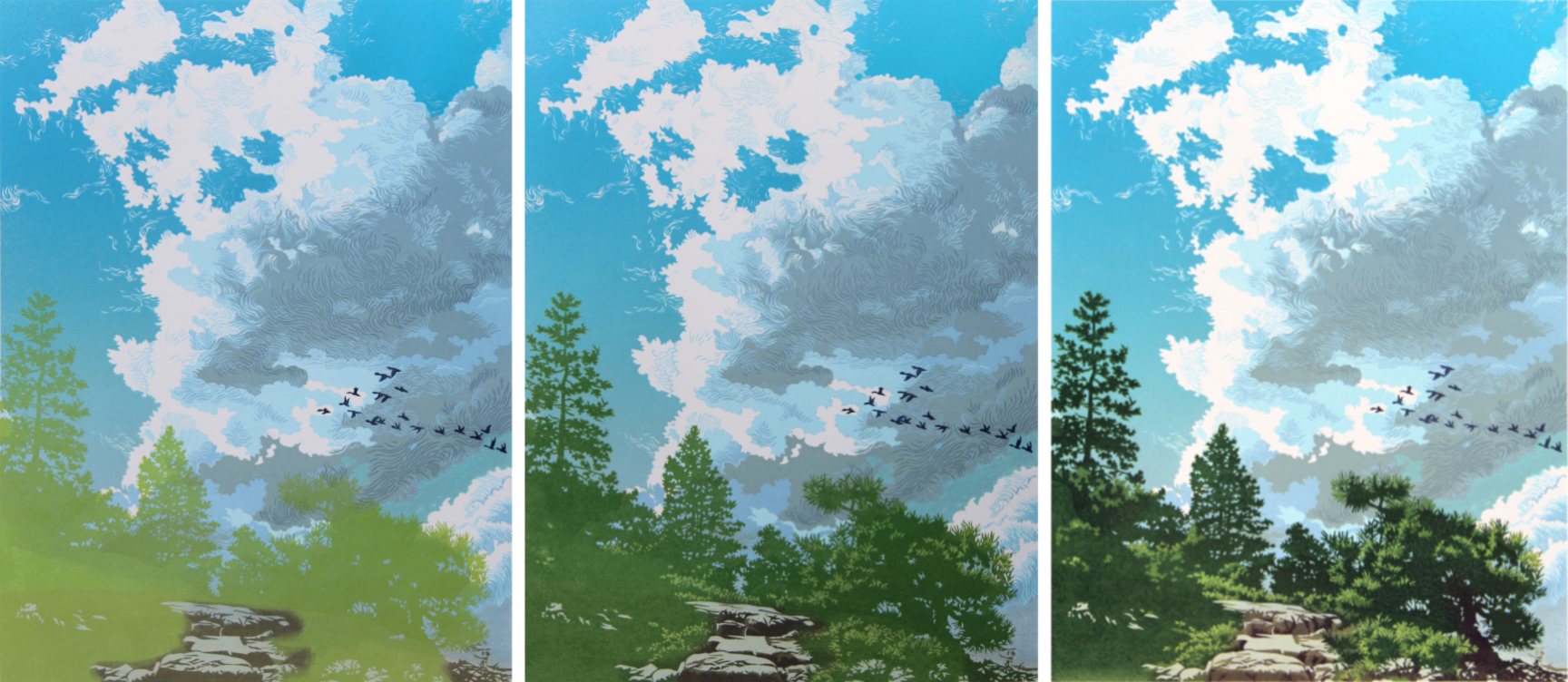 Impressions 8-10 for Migrant Sky by William H. Hays