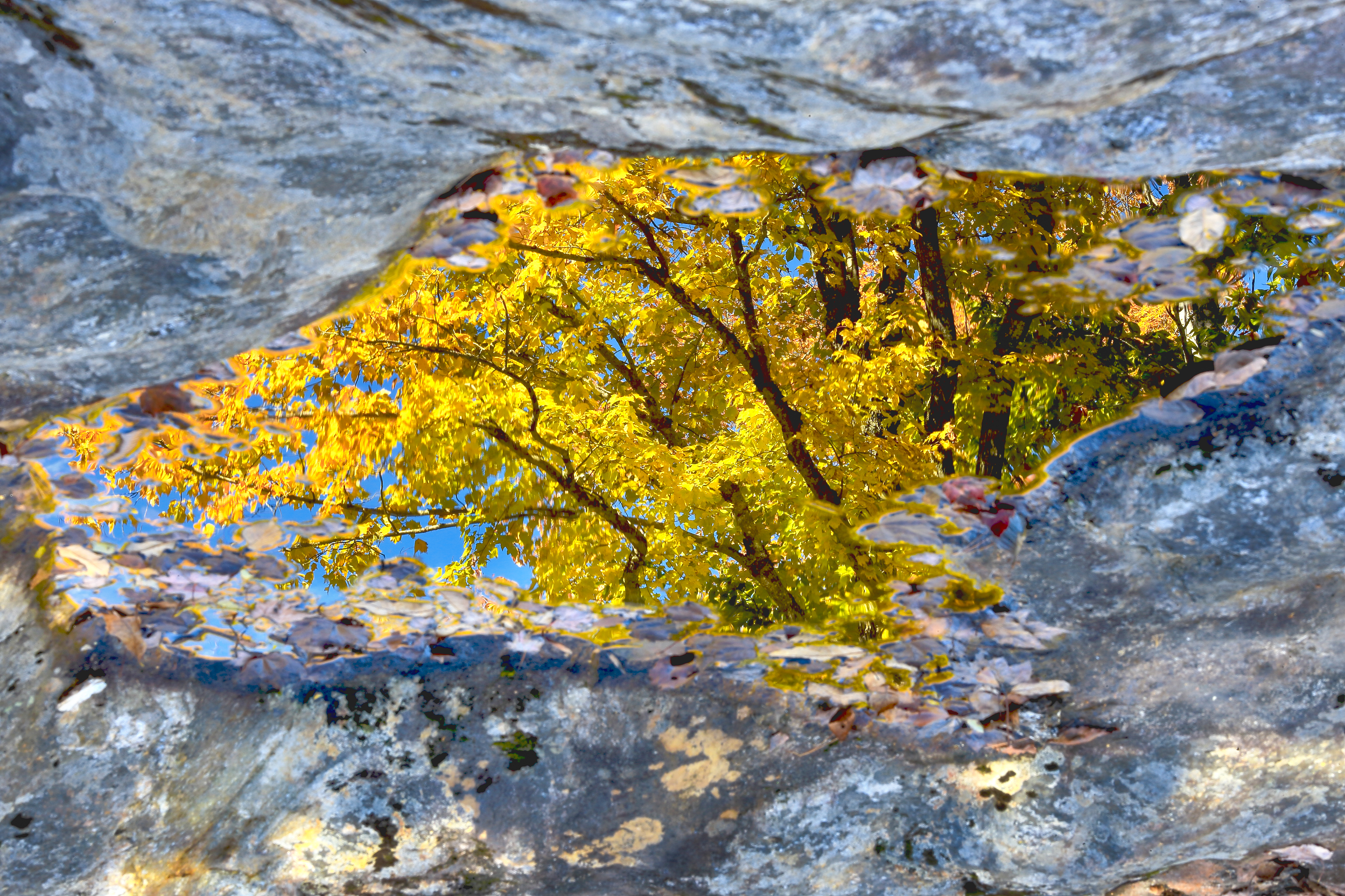 New England Fall Foliage – Water reflecting cycles in seasonal color