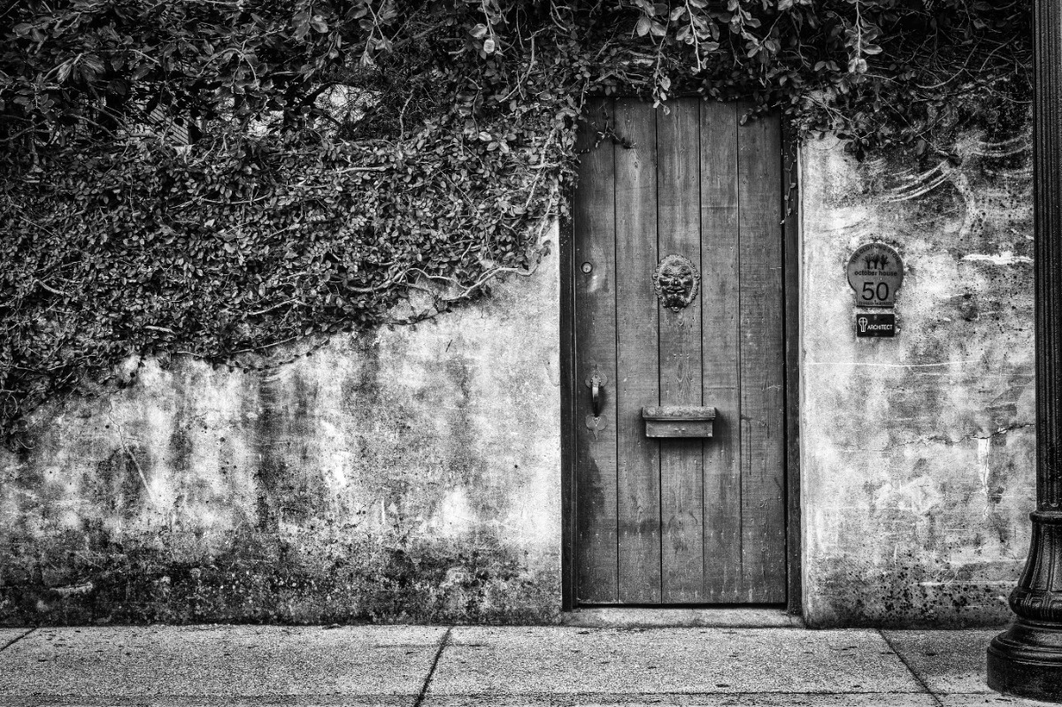 Monochrome Landscapes