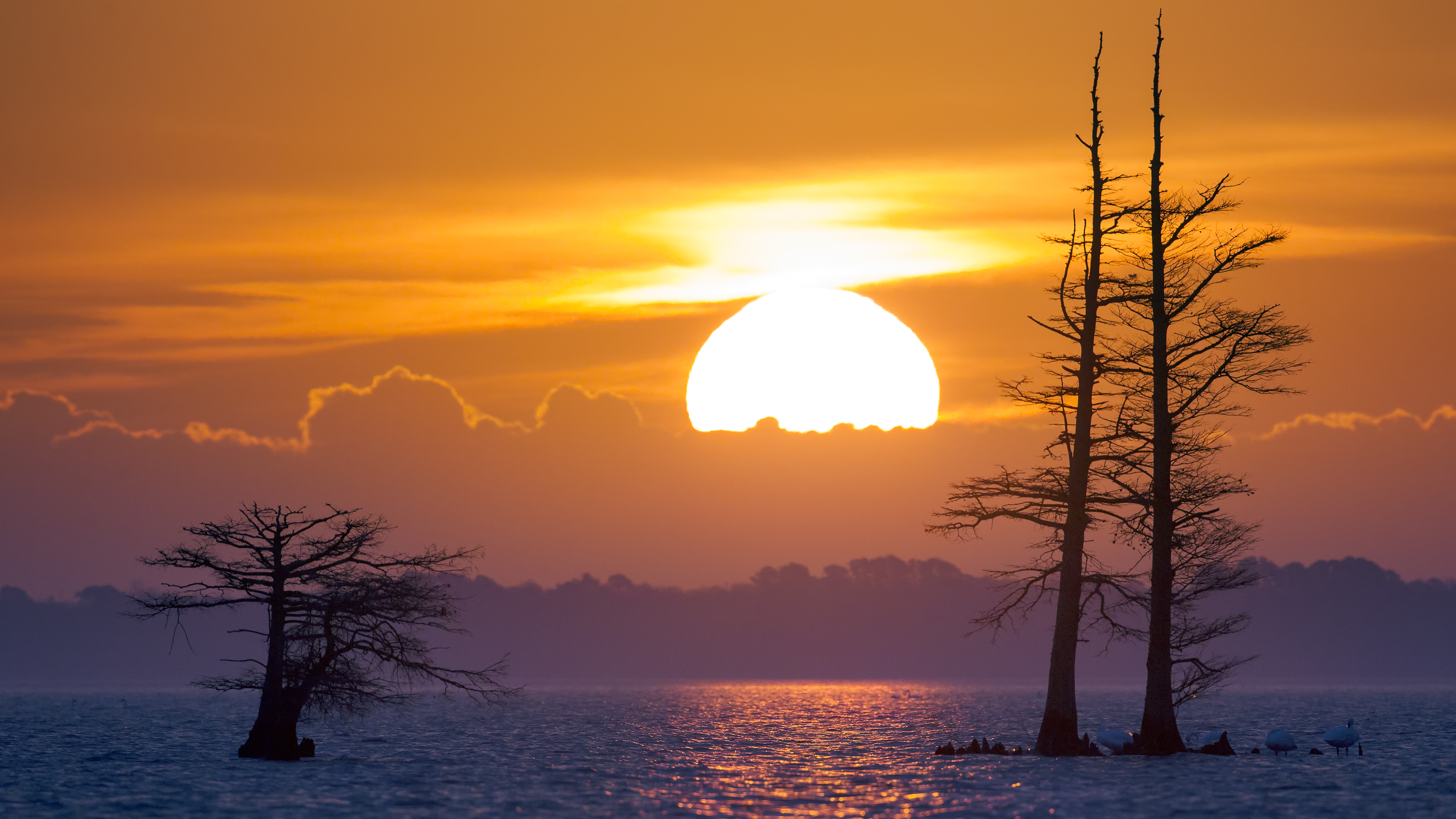 Sunrise Over Still Waters - Symbol of Ecological Balance | Fine Art by Robbie George