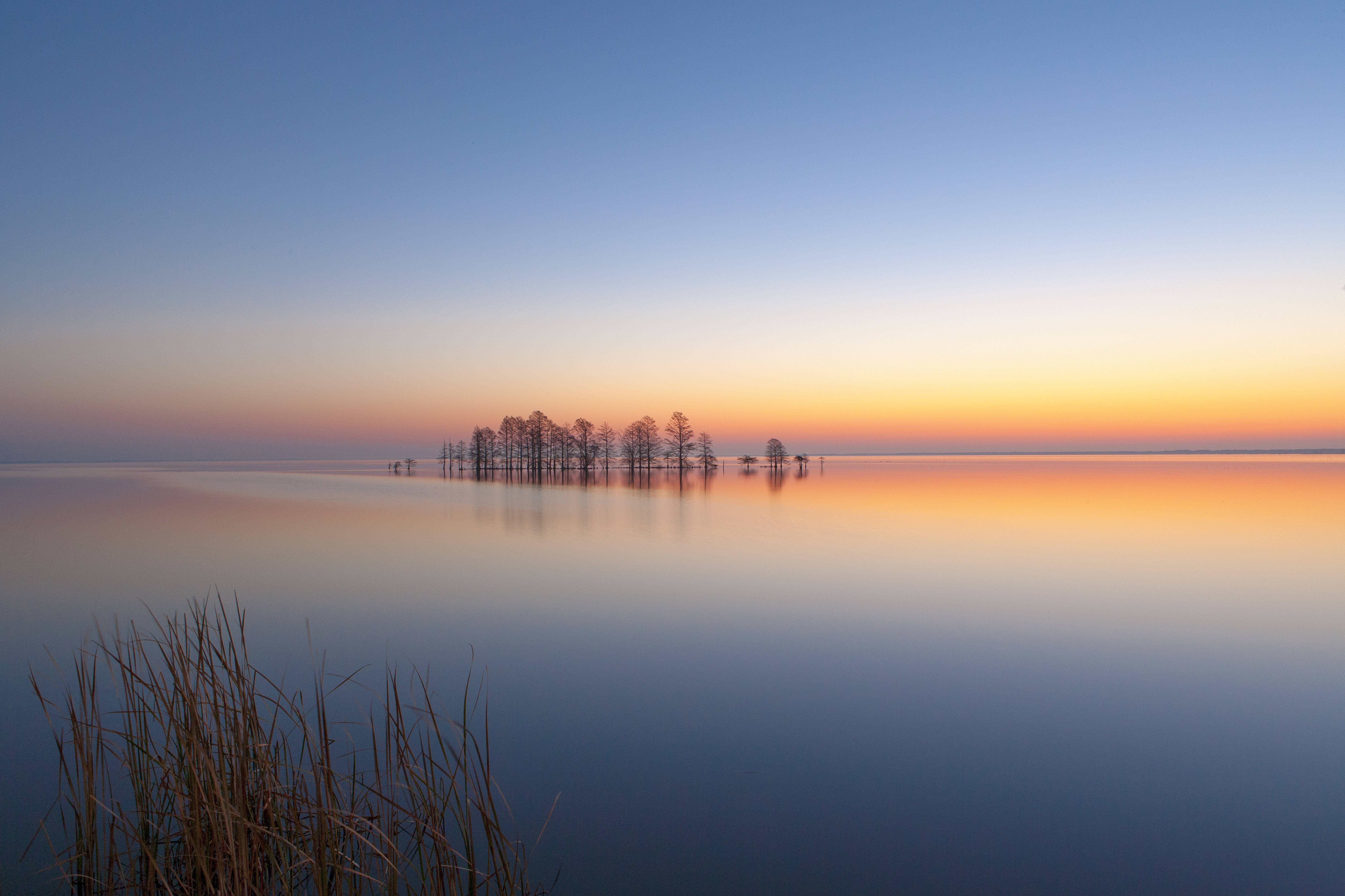 Beautiful Nature Image – Layers of Resonance by Robbie George