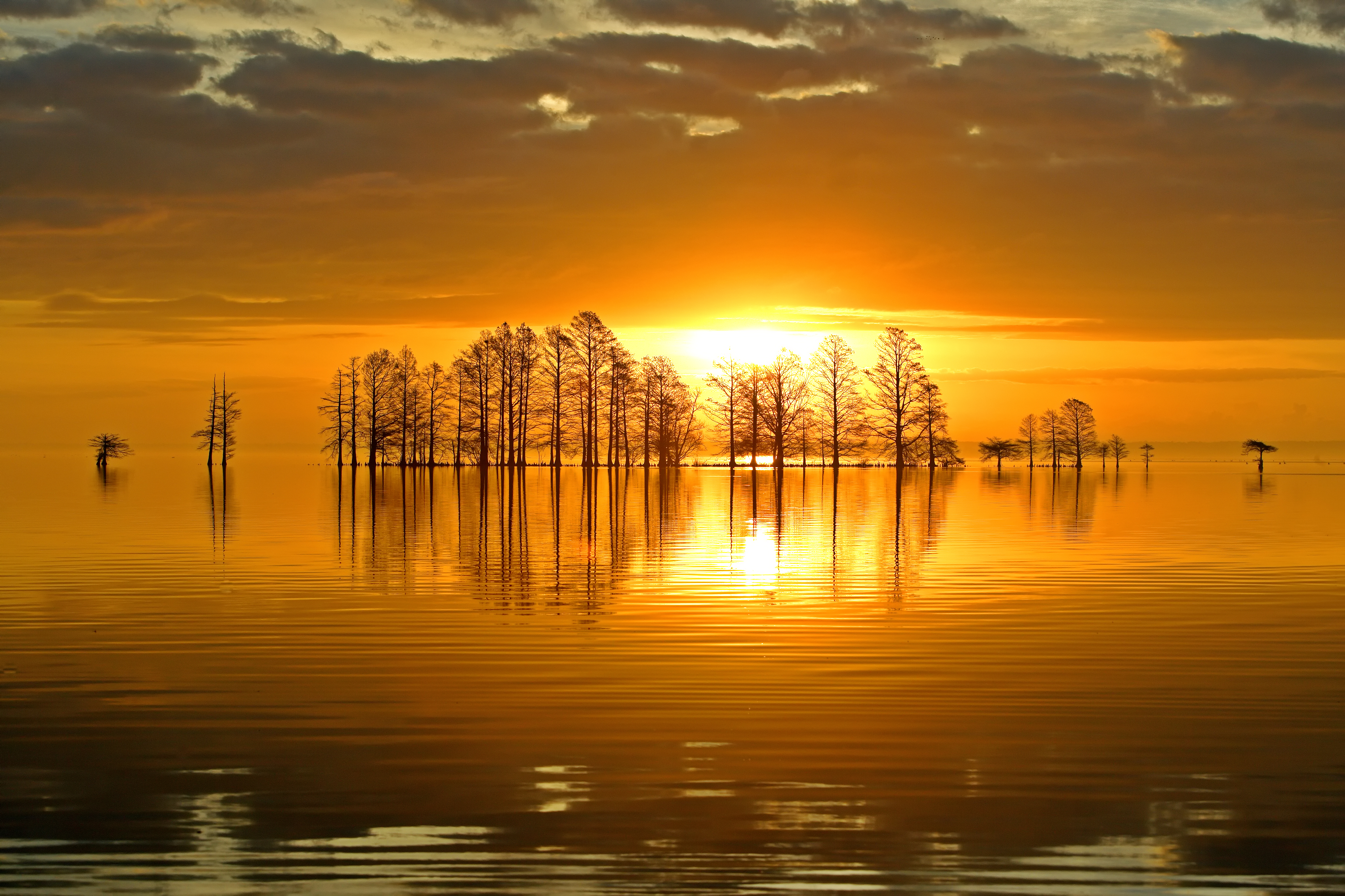 Landscape Gallery — dawn light over still marsh