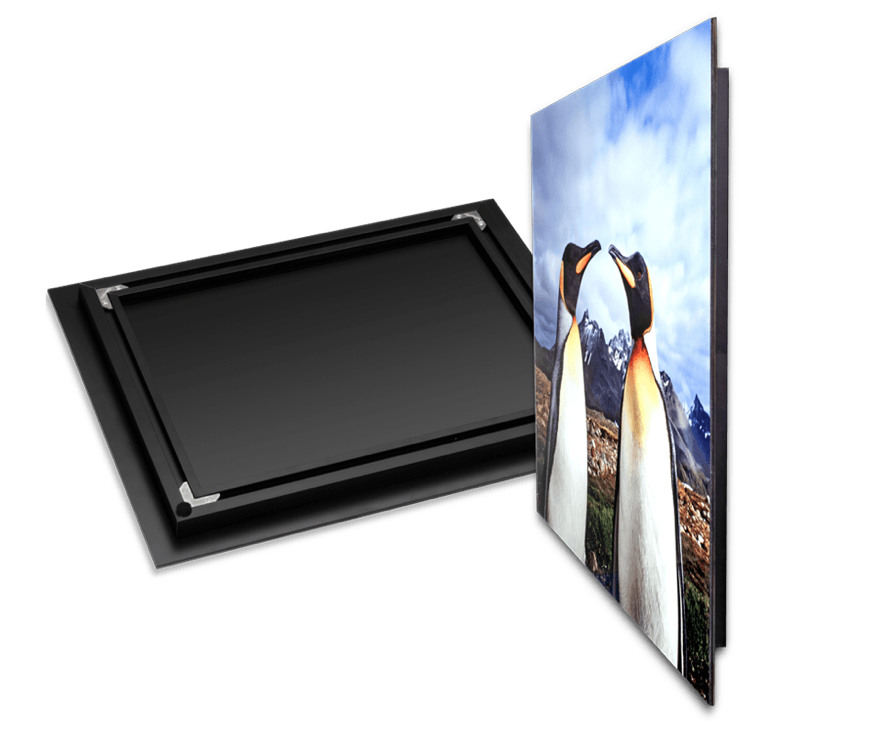 Exhibit Mounts | Robbie George Photography