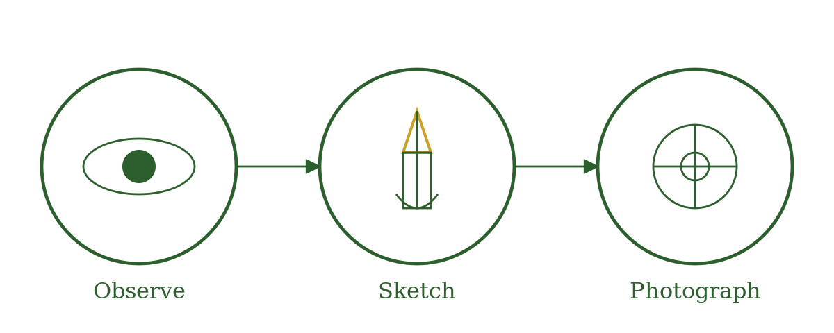 Glyph showing practice steps: Observe nature with the eye, Sketch spirals and patterns, Photograph them as field notes