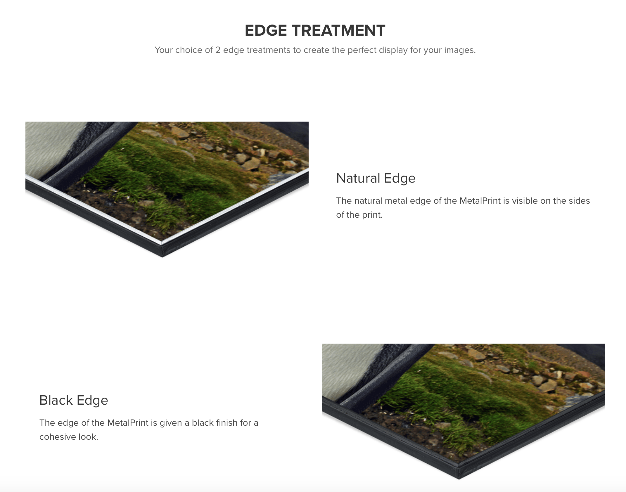 Exhibit Mounts | Robbie George Photography