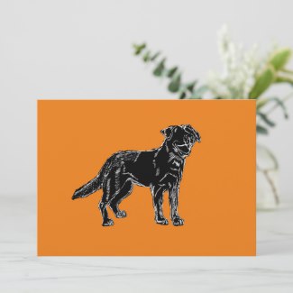 Orange Background