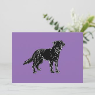 Purple Background
