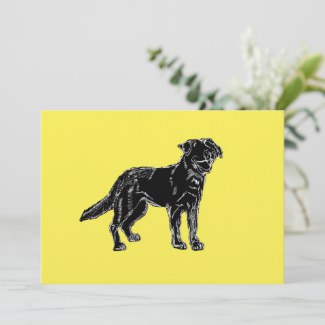 Yellow Background